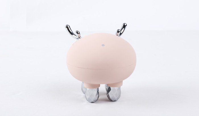 EMS マイクロカレント＋RF ラジオ波テクノロジー